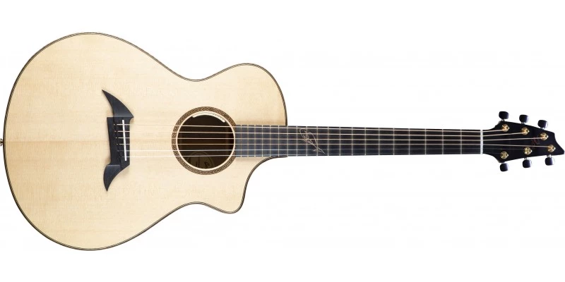 Breedlove 30th Anniversary Northwest Classic Concert CE