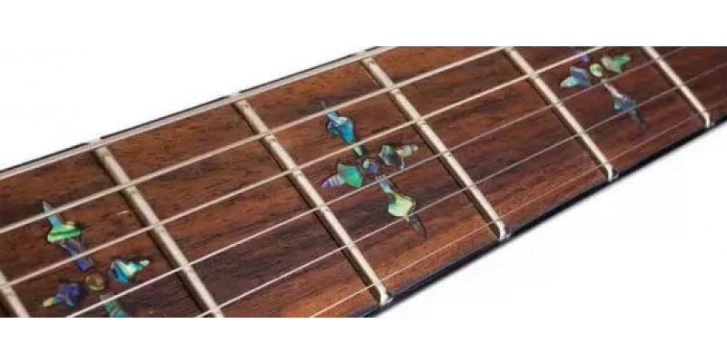 Schecter Hellraiser C-7 Black Cherry - Image 3