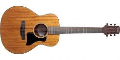 Adam Black O-2TE Travel Electro Acoustic