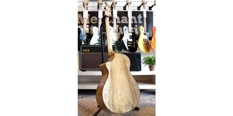 Breedlove 30th Anniversary Northwest Classic Concert CE - Image 5