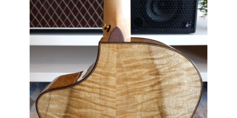 Breedlove 30th Anniversary Northwest Classic Concert CE - Image 10