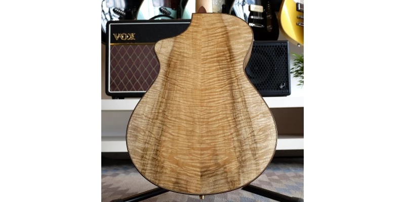 Breedlove 30th Anniversary Northwest Classic Concert CE - Image 6