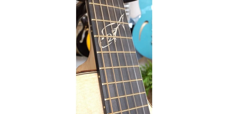 Breedlove 30th Anniversary Northwest Classic Concert CE - Image 17