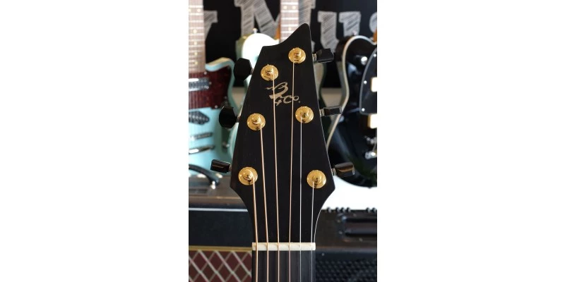 Breedlove 30th Anniversary Northwest Classic Concert CE - Image 18