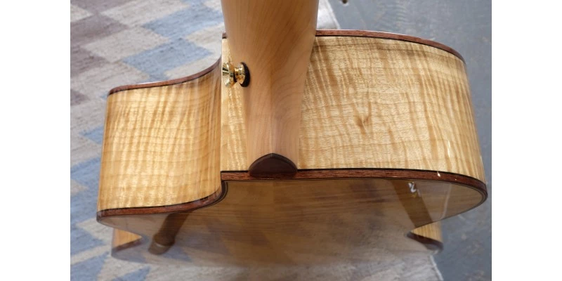 Breedlove 30th Anniversary Northwest Classic Concert CE - Image 12