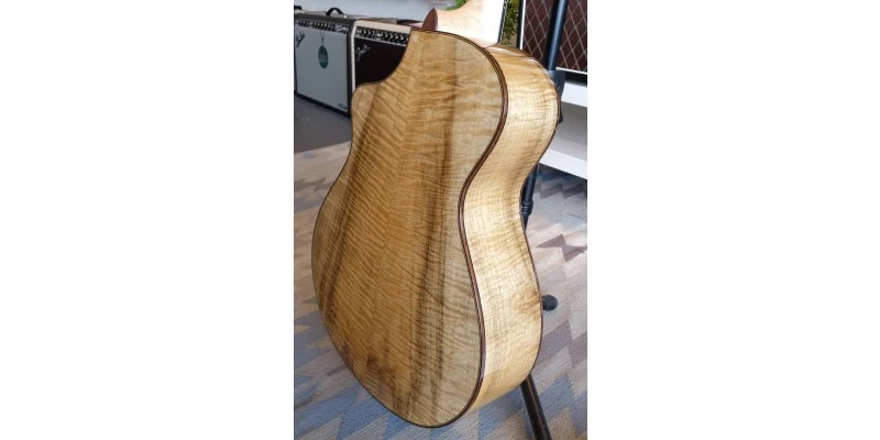 Breedlove 30th Anniversary Northwest Classic Concert CE - Image 8