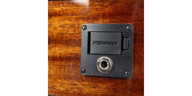 Breedlove Discovery S Companion Edgeburst CE Red Cedar/African Mahogany - Image 8