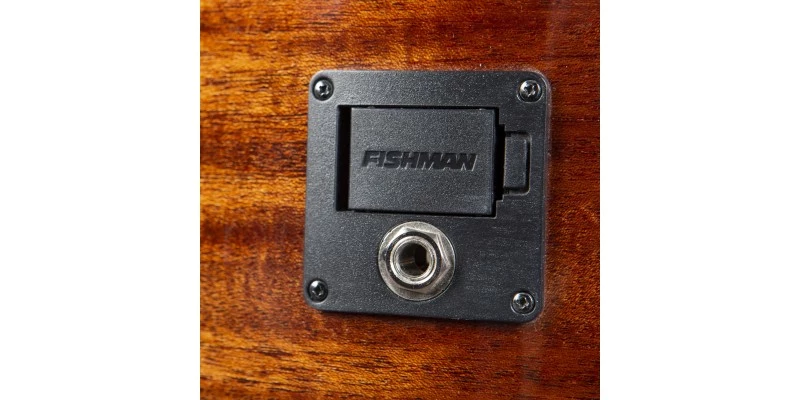 Breedlove Discovery S Concert Edgeburst CE Red Cedar/African Mahogany - Image 8