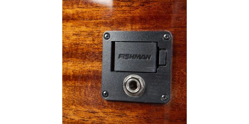 Breedlove Discovery S Concertina Edgeburst CE Red Cedar/African Mahogany - Image 7