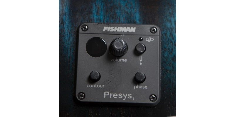 Breedlove Rainforest S Concert Papillon CE - Image 6