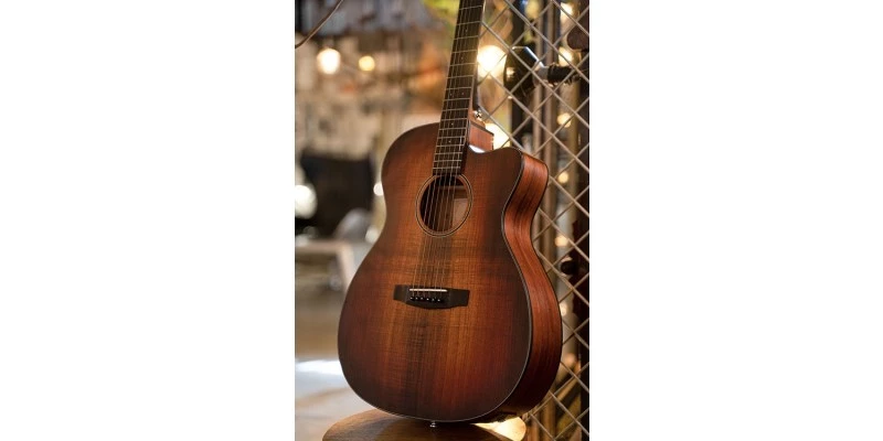 Cort Core-OC Blackwood - Image 3