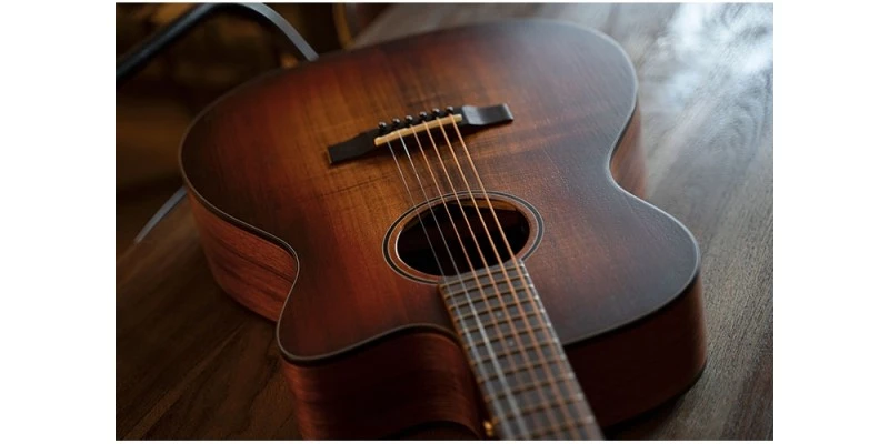 Cort Core-OC Blackwood - Image 4