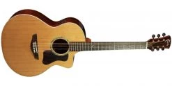 Faith PJE Legacy FG2NCE Neptune 2-Piece Rosewood
