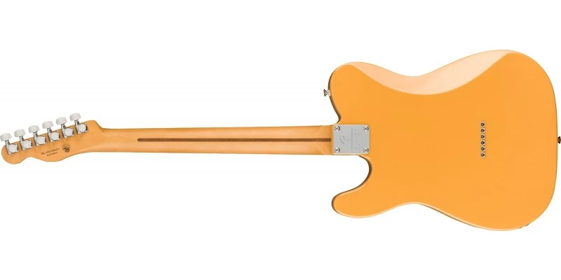 Fender Player Plus Nashville Telecaster Butterscotch Blonde - Image 5