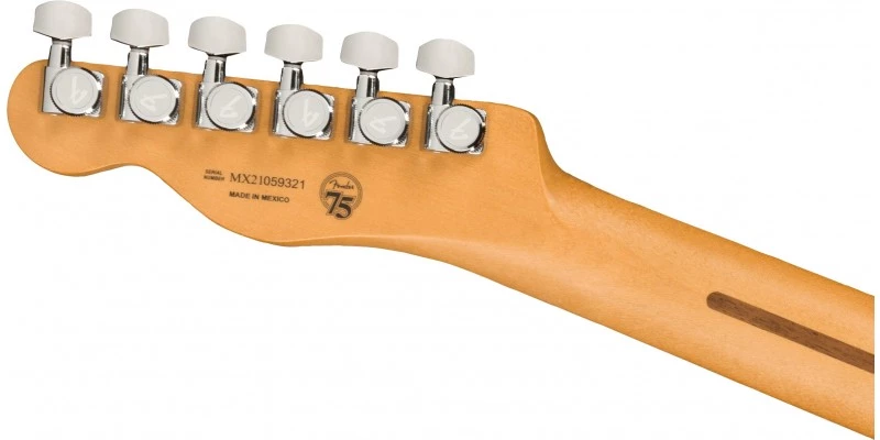 Fender Player Plus Nashville Telecaster Butterscotch Blonde - Image 7