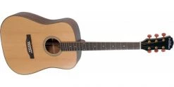 Freshman FA250D Acoustic Guitar