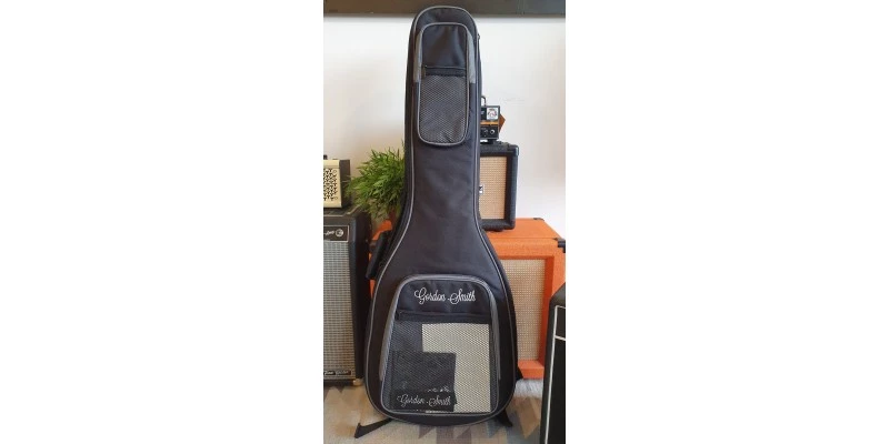 Gordon Smith GS1 60 P90 Shell Pink - Image 18