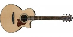 Ibanez AE205JR Open Pore Natural