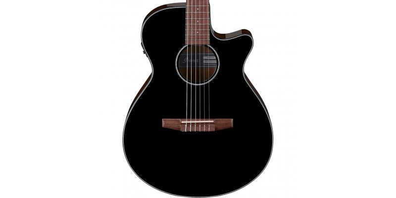 Ibanez AEG50N Nylon String Electro-Acoustic Black - Image 2