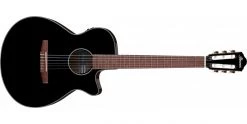 Ibanez AEG50N Nylon String Electro-Acoustic Black