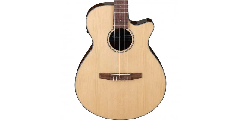 Ibanez AEG50N Nylon String Electro-Acoustic Natural - Image 2