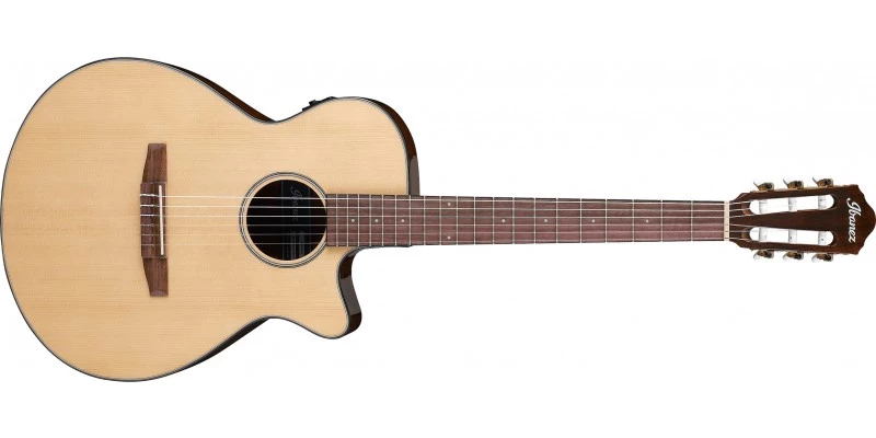 Ibanez AEG50N Nylon String Electro-Acoustic Natural