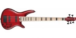 Ibanez ANB205-TWB Adam Nitti Signature Transparent Wine Red Burst