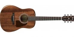 Ibanez AW54JR Open Pore Natural