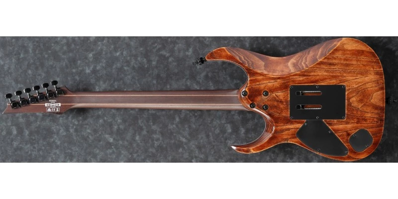 Ibanez RGA60AL-ABL Axion Antique Brown Stained Low Gloss - Image 7
