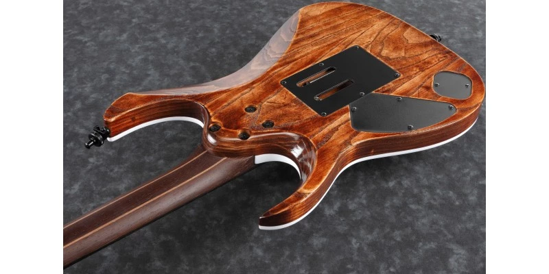 Ibanez RGA60AL-ABL Axion Antique Brown Stained Low Gloss - Image 8