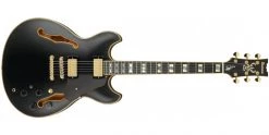 Ibanez JSM20 John Scofield Black Low Gloss