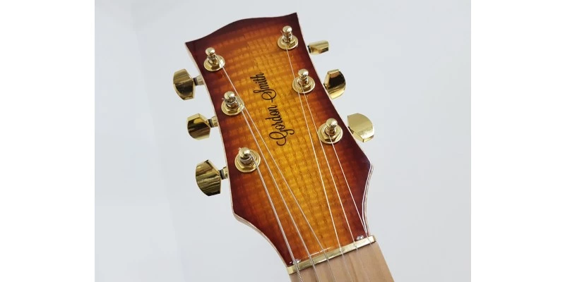 Gordon Smith GS Deluxe Cognac Burst - Image 16