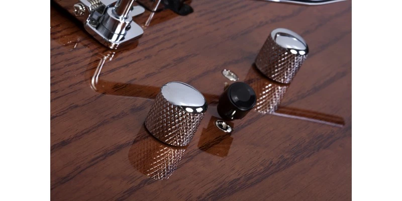 Schecter PT Van Nuys Gloss Natural Ash - Image 14