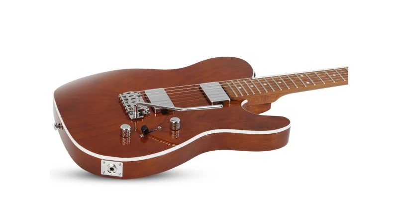 Schecter PT Van Nuys Gloss Natural Ash - Image 4