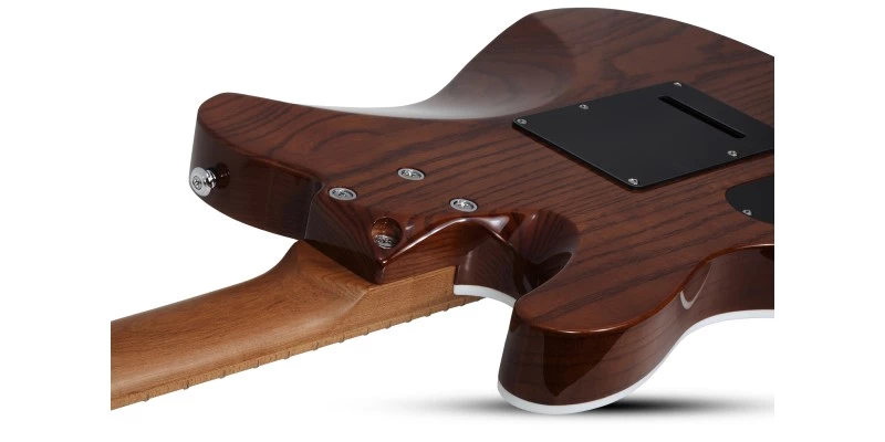 Schecter PT Van Nuys Gloss Natural Ash - Image 8