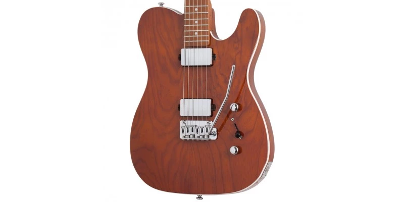 Schecter PT Van Nuys Gloss Natural Ash - Image 2