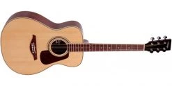 Vintage V300 Acoustic Guitar Starter Package Natural